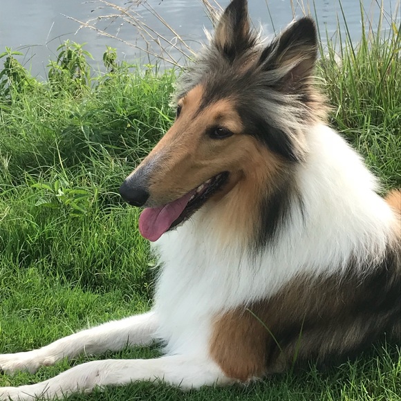 Meet Your Posh Ambassador - Picture 4 of 5